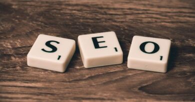 Why You Need a Professional SEO Service Provider